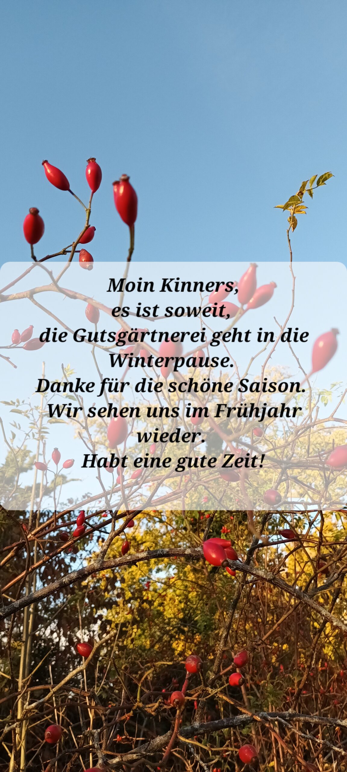 Herbst_25 tschüß 20251027_160220