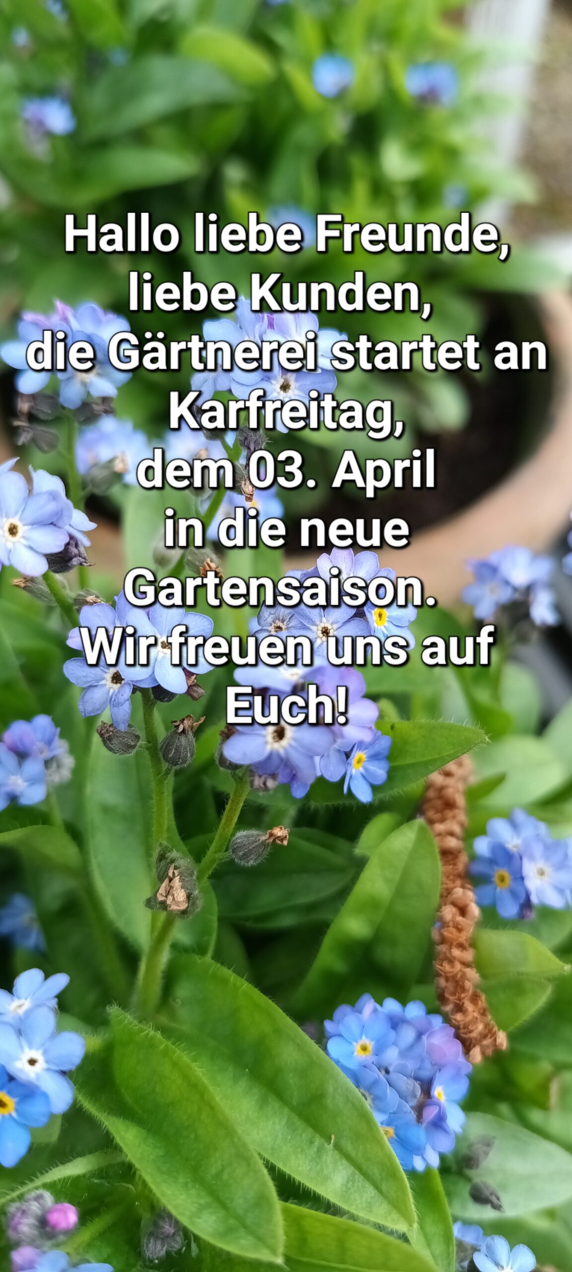 Frühjahr_26 20260326_092816